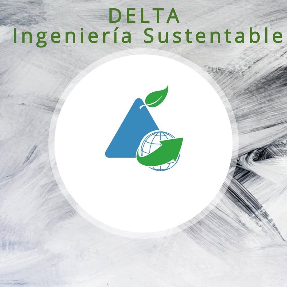 Equipo de Delta Ingeniería en obra